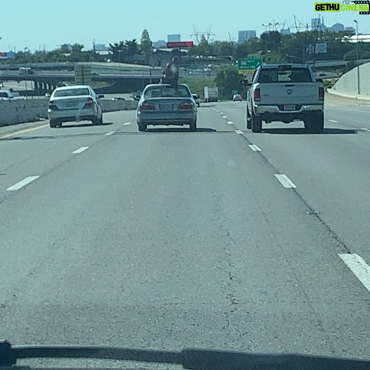 Dixie Carter-Salinas Instagram - Stupidest move I have EVER seen. A man at first sitting on top of his car going 65 miles an hour on the highway, who later is standing on top of his car, like he was surfing, going at least 45 to 50 miles an hour. He might die doing that, but I’m more worried about someone else who might lose their life because of his stupidity trying to avoid hitting him. OMG #pleasearresthim I-40 West