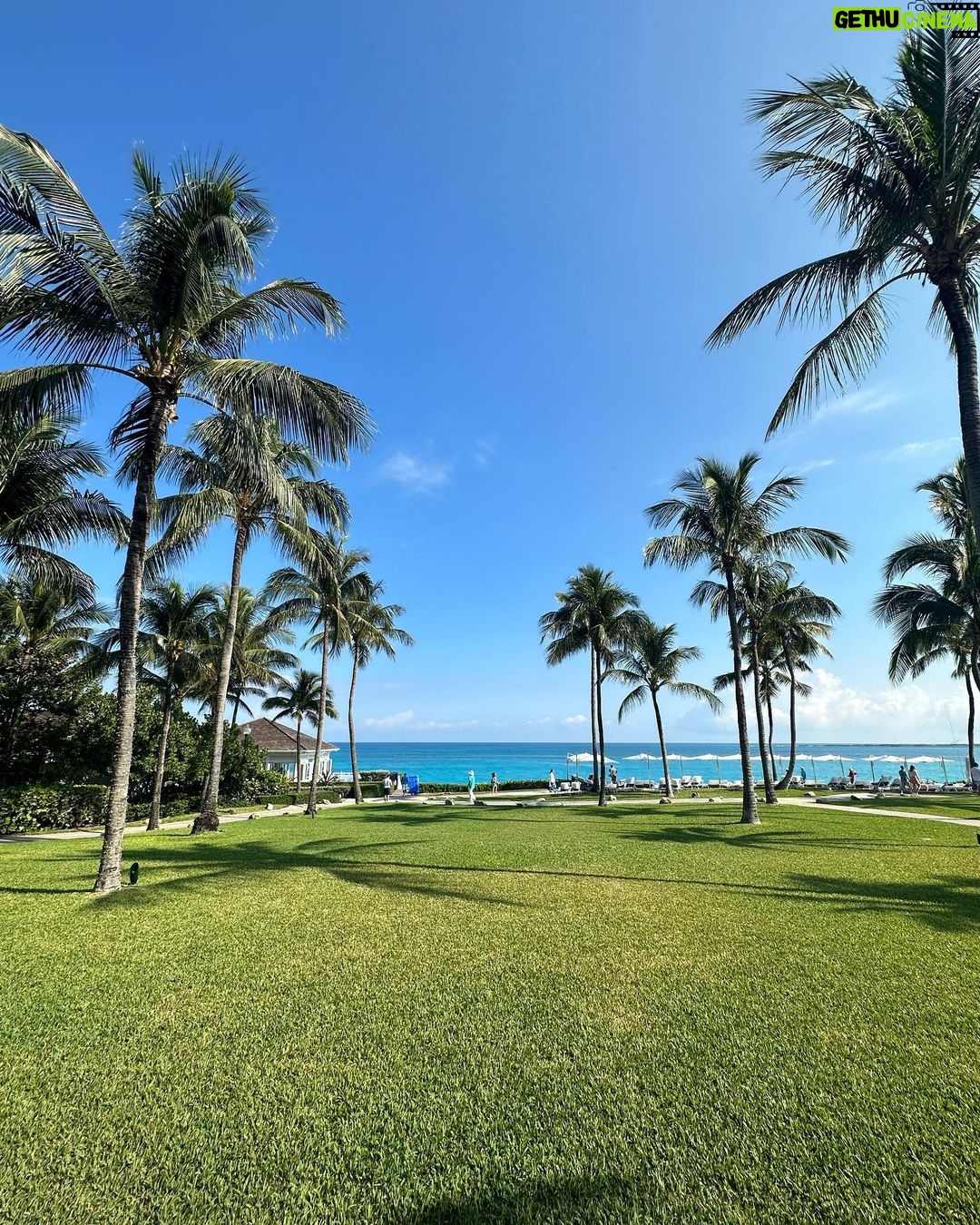Dixie Carter-Salinas Instagram - Looks like green screen pics. Thanks @fsoceanclub for the perfect lunch with amazing friends. ☀️ Ocean Club, Paradise Island,