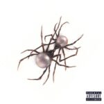 Doja Cat Instagram - Available Now 🕸️