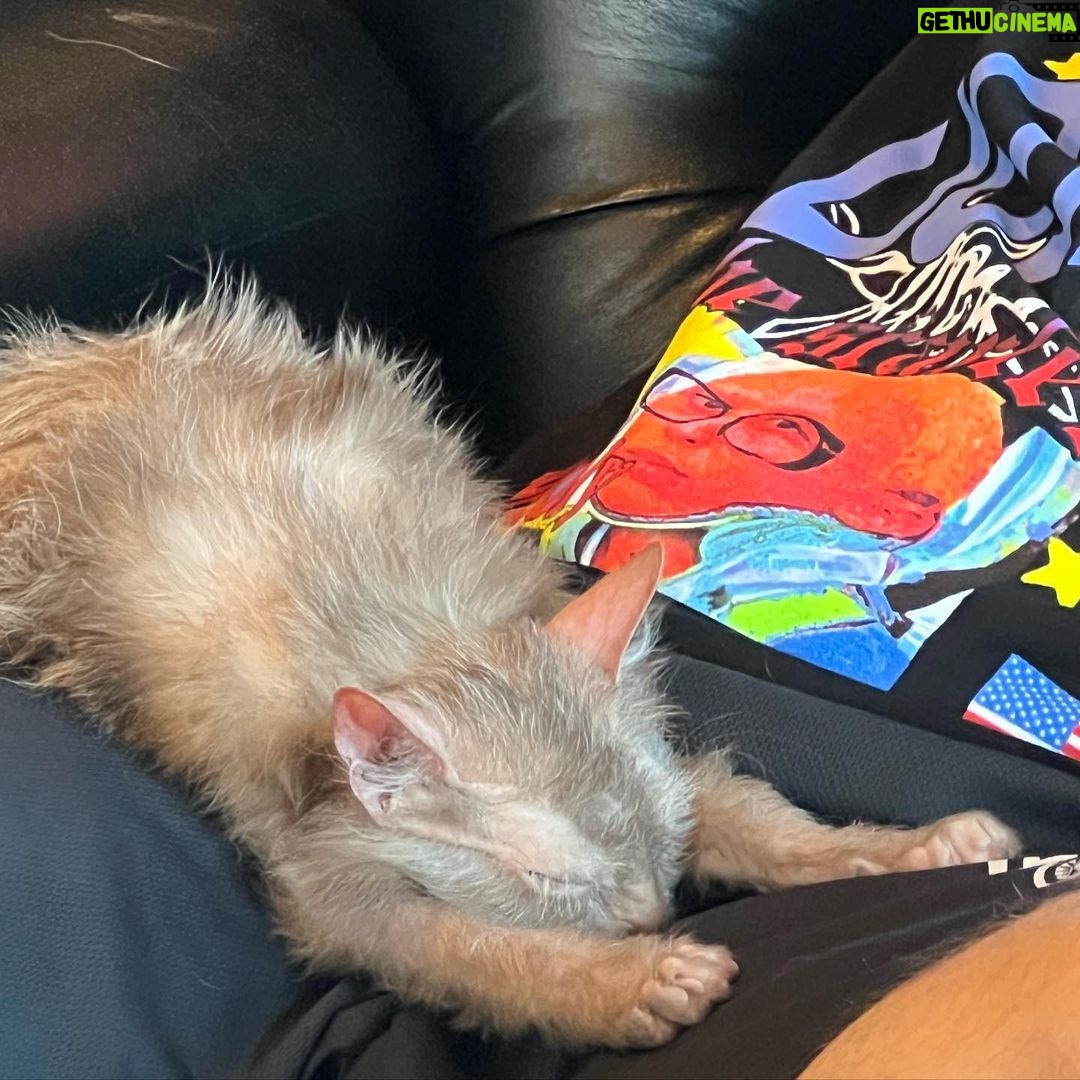 Doja Cat Instagram - Irv bowing in his sleep to my merch.