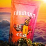 Don Patricio Instagram - MUSTANG🚗🚗🚗 3 septiembre en todas las plataformas digitales ❤️‍🔥 Hazte una copia de mis llavess🤐 . con la música de @_lucas_otero y la ayuda de @pierovsm @chechuau con un videoclip de @joan_barbas_thenorthfilms . 📷 @deivithmadrid Madrid, Spain
