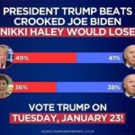 Donald Trump Instagram - BIRDBRAIN HAS BEEN LYING ABOUT THIS, AND MANY OTHER THINGS, FOR WEEKS. SHE CAN’T BEAT THE DEMS. New Hampshire