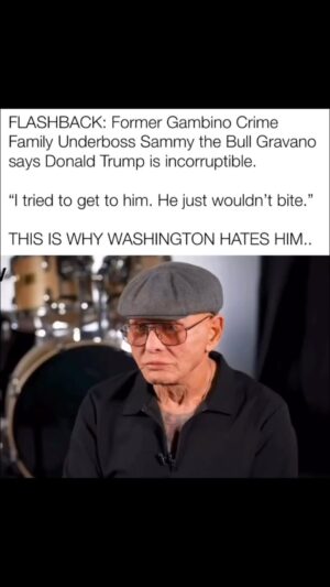 Donald Trump Instagram - Thank you to Sammy the Bull. I hope Judges Engoron & Kaplan see this. We need fairness, strength and honesty in our New York Courts. We don’t have it now!