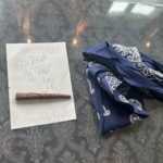 Drake Instagram – First thought for 2024:

I’m not your emotional support dog