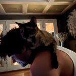 Drake Rodger Instagram – man’s 2nd best friend