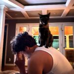 Drake Rodger Instagram – man’s 2nd best friend
