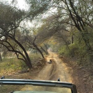 Dua Lipa Instagram - I feel so beyond lucky to end my year here in India. Thank you to all the wonderful people here who have shown us so much love, kindness, hospitality and generosity. This experience has been deeply meaningful. I feel lucky to be in and within the magic with my family where we have had the time to explore, regroup, recharge and restart. Ready for the year ahead. What a joy!!! 💛!!!!