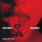 Dua Lipa Instagram - ADAM PORT - HOUDINI MIX OUT NOW🚨i'm ready to get my dancing shoes on and dance into the new year with this oneeeee @adamport !!!!