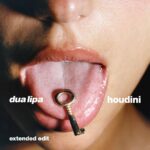 Dua Lipa Instagram - all the plans go out the window, when we're out this late at night 🔐 ~ houdini extended edit ~ yours tomorrow midnight ~