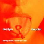 Dua Lipa Instagram - HOUDINI "SLOW RIDE" MIX by @dannylharle (also known as THE rave consultant) // OUT NOW!!!!