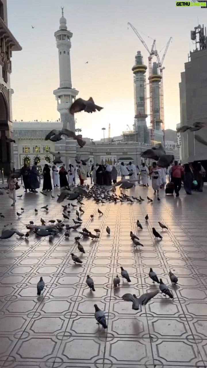 Dwi AP - 369 Likes - Video ini gw bikin tepat di hari jum'at sebelum besoknya gw balik ke jakarta. Selepas subuh nunggu dhuha iseng ambil gambar, selepas dhuha balik hotel buat mandi dan balik ke masjid buat sholat jum'at. Gambarnya memang berurutan dg kejadian hari itu. Video opening sengaja gw ambil gambar masjidilharam pintu 79. Pintu dmana untuk pertama kalinya gw masuk ke masjidilharam. Setelah itu gw selalu masuk dr pintu yg sama. Krn menurut gw pintu 79 akses yg paling gampang untuk lgsg menuju KA'BAH. To be honest ktika gw bikin video ini gw sambil nangis berharap bs dipanggil lagi untuk bertamu dsini. Aamiin
#throwback #friday