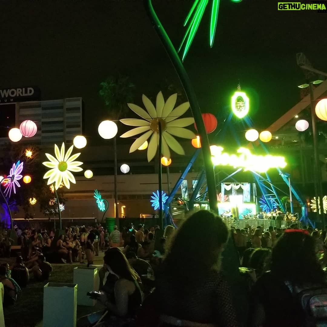 Eaddy Mays Instagram - 🎶 Welcome Home 🎶 @edc_orlando @bassnectar #edm #bass #edmismytherapy #sexybeats