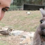 Eaddy Mays Instagram - Yep, I had him eating out of the palm of my hand 😎 😉 (NGL I was so excited I was a COMPLETE Geek about it all! #sns #lifelongmemories 🦉🦎🦇🐨🐪🐧🐒) 😍😍😍 Thank you #COTN5 ... bye, #Adelaide. I'll miss you 😢😘 Look out, #Sydney, HERE I COME!! 🇦🇺🤙🏼✈😀🏍🌉