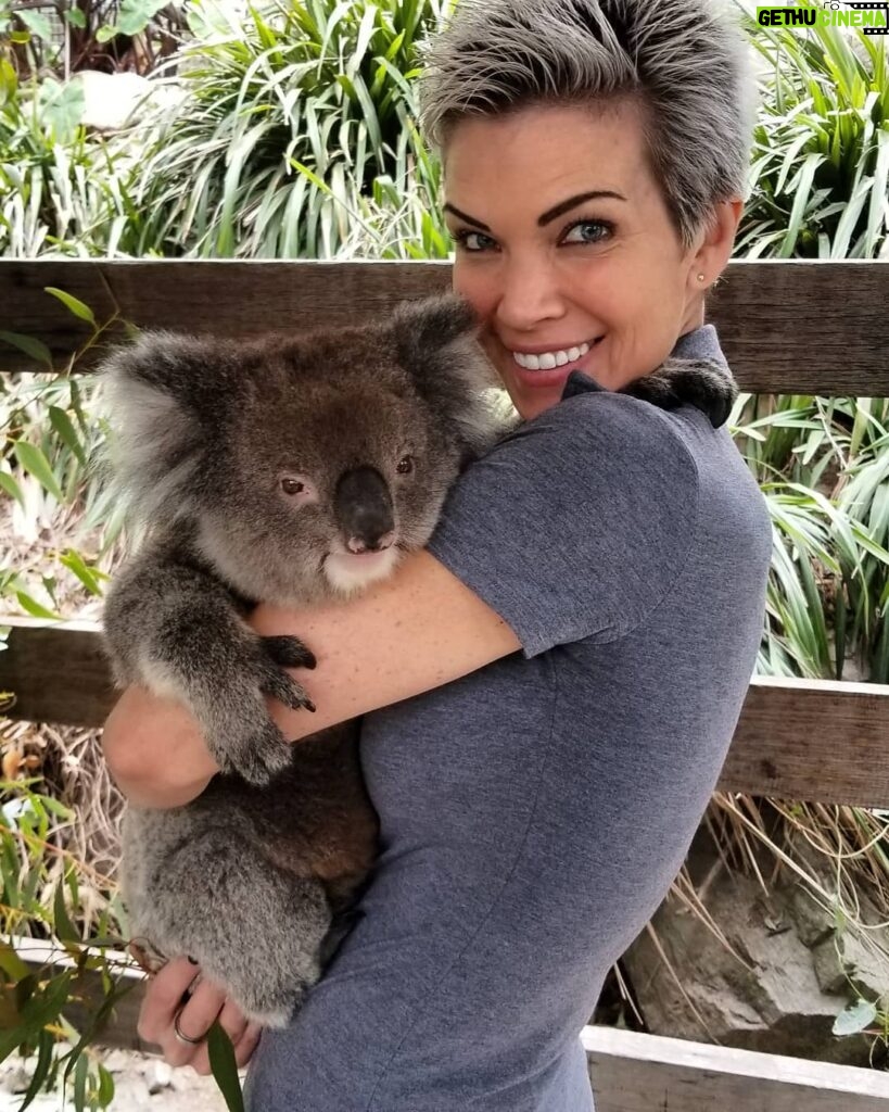 Eaddy Mays Instagram - Taking photos with Lucy today, I was as giddy as fans at a #COTN5 photo opp! *squeeee* 🇦🇺🐨😍 Gorge Wildlife Park