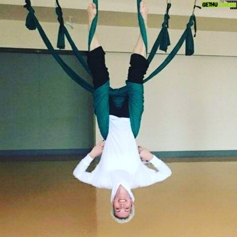 Eaddy Mays Instagram - Just hanging out 🙃 with my bff @alileitner for my birthday. 😄 #turntheworldupsidedown #create #treeoflife #goodtimes Massachusetts