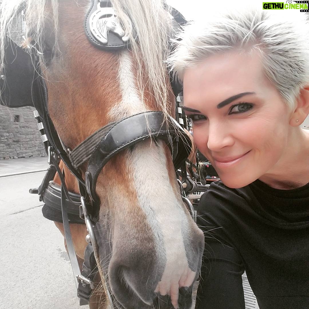 Eaddy Mays - 1.9K Likes - Carriage ride with this handsome fella 😍
#Montreal I ADORE you! 🍁