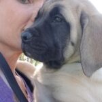 Eaddy Mays Instagram - 💙 Xena - our funny, protective, loyal, patient warrior princess 💙 …and ruddy good dog. ✨ we’ll play together again soon, Zee, when we reunite in the Star Dust ✨ 🤟🏼 ♾️ 😇 United States