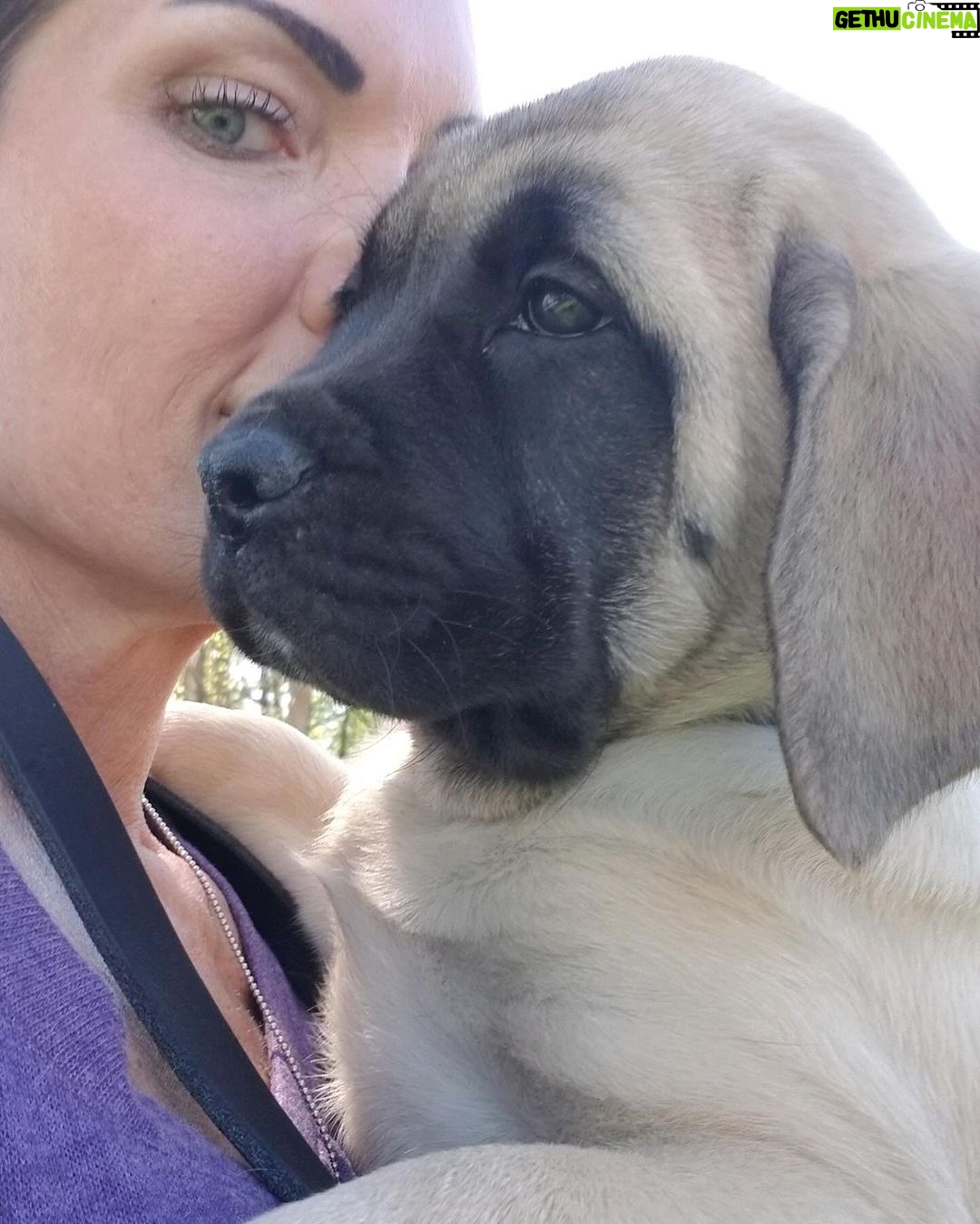 Eaddy Mays Instagram - 💙 Xena - our funny, protective, loyal, patient warrior princess 💙 …and ruddy good dog. ✨ we’ll play together again soon, Zee, when we reunite in the Star Dust ✨ 🤟🏼 ♾️ 😇 United States