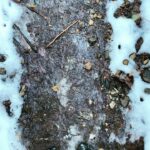 Eaddy Mays Instagram - The Appalachian Trail - part of it, a