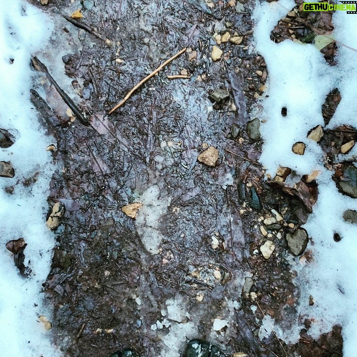 Eaddy Mays Instagram - The Appalachian Trail - part of it, a