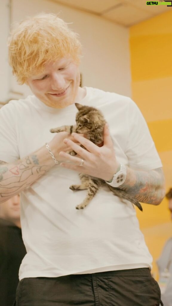 Ed Sheeran Instagram - Had @wolftrapanimalrescue come backstage in DC and bring some cute fluffballs, here are the results FedExField