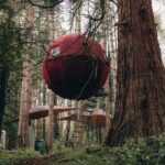 Ed Stafford Instagram – First night tonight when all three of our pods are occupied. 🍻 I’ve spent the morning strimming & raking and I have to say the woods look mint 😎. Vino 🍷 time. #thesleepyexplorer #pods #glamping #vanlife #adventuredog #adventuretravel @landpod @_tree_tents @showershacks #camping #staycation #uniquehotels United Kingdom