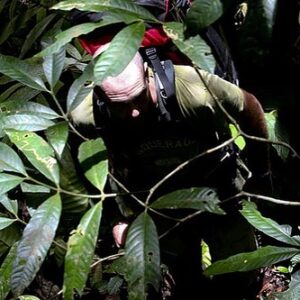 Ed Stafford Instagram - The Amazon is calling… so I’ve parked up my caravan and it’s time to survive again. Brazil is the next destination and I fly in two weeks. Back into the trees we go 😎🌳🌳 

🇧🇷 A Amazônia está chamando… então estacionei minha caravana e é hora de sobreviver novamente.  O Brasil é o próximo destino e eu voo em duas semanas.  De volta às árvores nós vamos!

🇹🇷 Amazon arıyor… bu yüzden karavanımı park ettim ve tekrar hayatta kalma zamanı geldi.  Sıradaki varış noktası Brezilya ve iki hafta sonra uçuyorum.  Ağaçlara geri dönüyoruz…

#amazonrainforest #jungle #survival #firstmanout #fmo3 #bushcraft