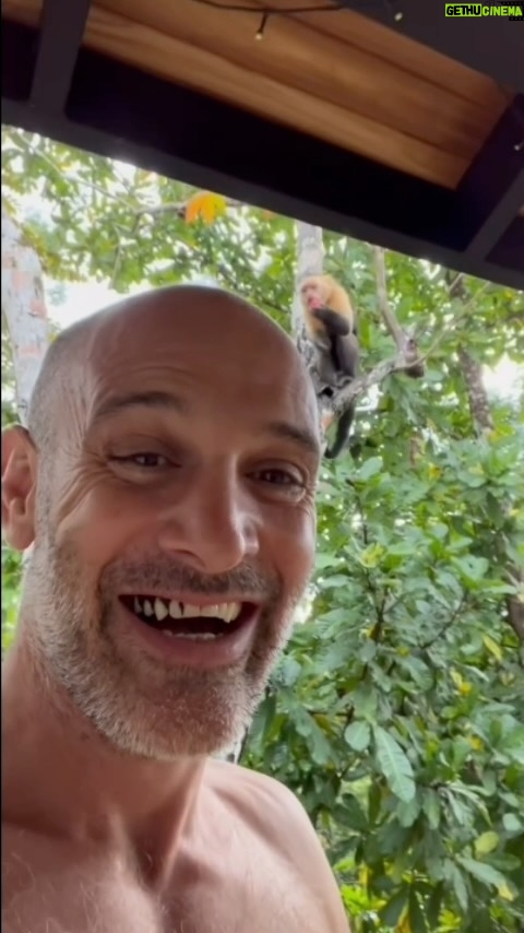Ed Stafford Instagram - Breakfast 🥞 time in #CostaRica and we’ve moved house (as we’re soon to be a family of six!😱). Look who’s come to join us… 🙈 #capuchin #capuchinmonkey #monkey