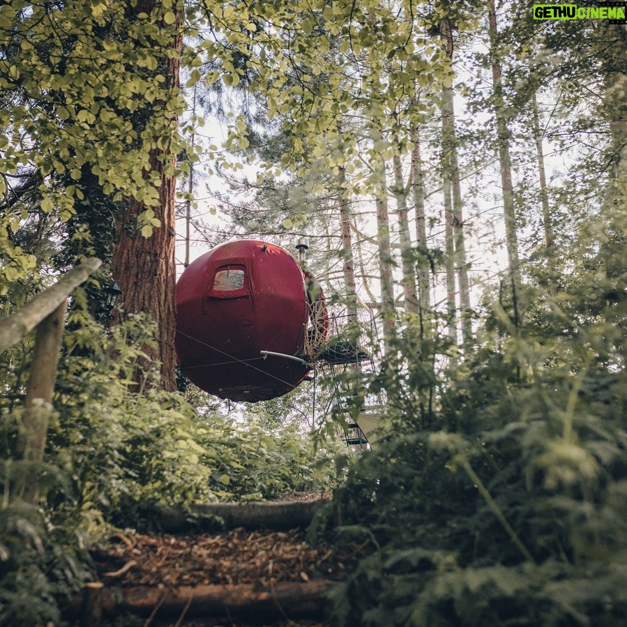 Ed Stafford Instagram - I’ve been quiet for a while; getting the kids into a new eco bilingual school (which they love!), buying a battered 21-year-old @toyota #sequoia, and finding somewhere a bit more permanent for the family to stay in the jungle. 🍃 I’m writing this from my hammock on Father’s Day missing home (very lightly) for the first time. I guess there is time to reflect now and we are very lucky indeed to have friends and family back home, and a little wood which would be stunning right now if we were back in the UK. And slightly less sweaty too 🥵. Our plan (tentatively) is to go back to England in 5 years when Ran is 10/11, so we didn’t sell up. Just rented the house out and sorted an amazing manager (@the_sleepy_explorer) for the pods in the woods (my favourite bit of home). 💚 #homesweethome #glamping #ukglamping #airbnbsuperhost #fathersday Leicestershire