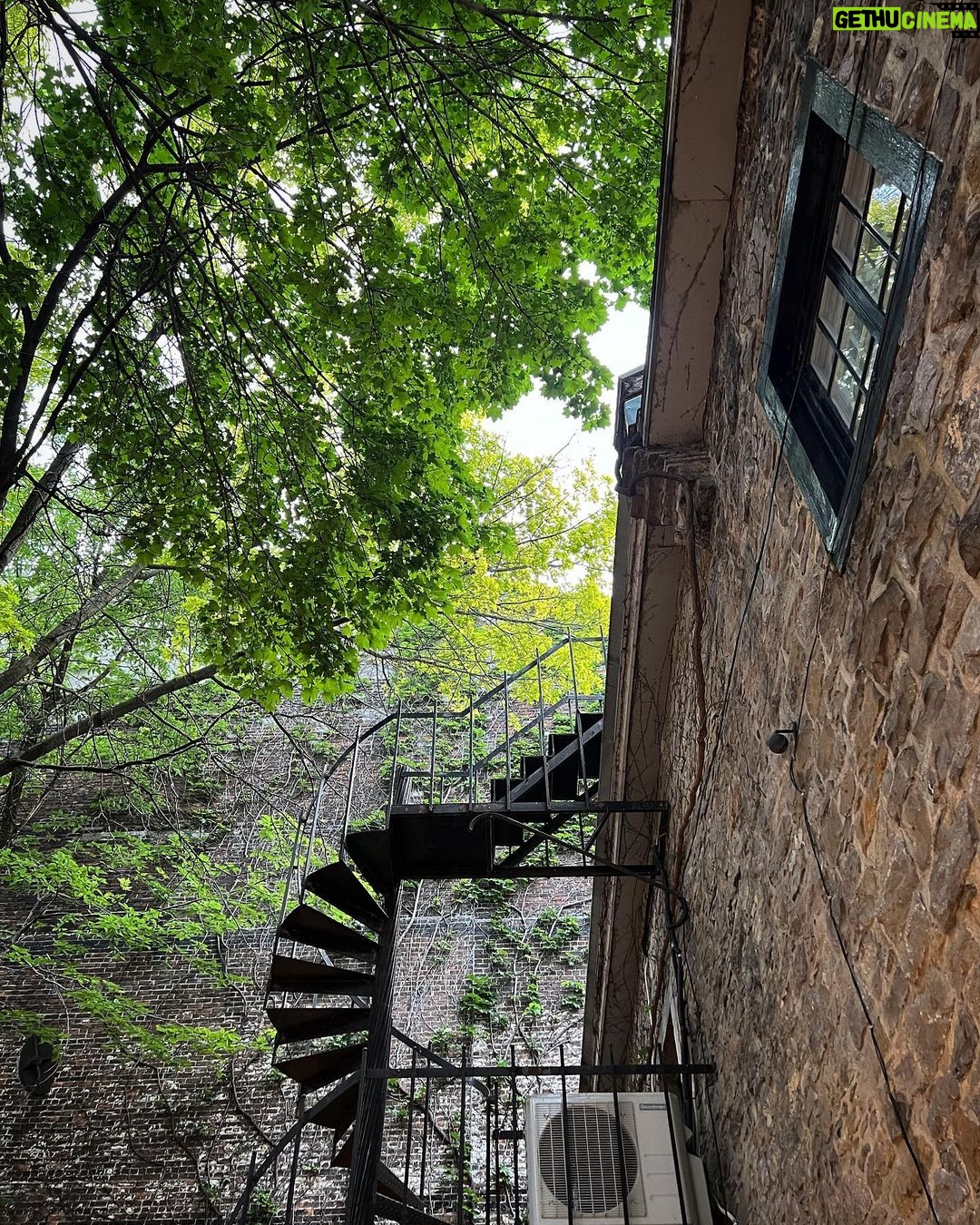 Eddie Liu Instagram - It's been (Mont)real Montreal, Quebec