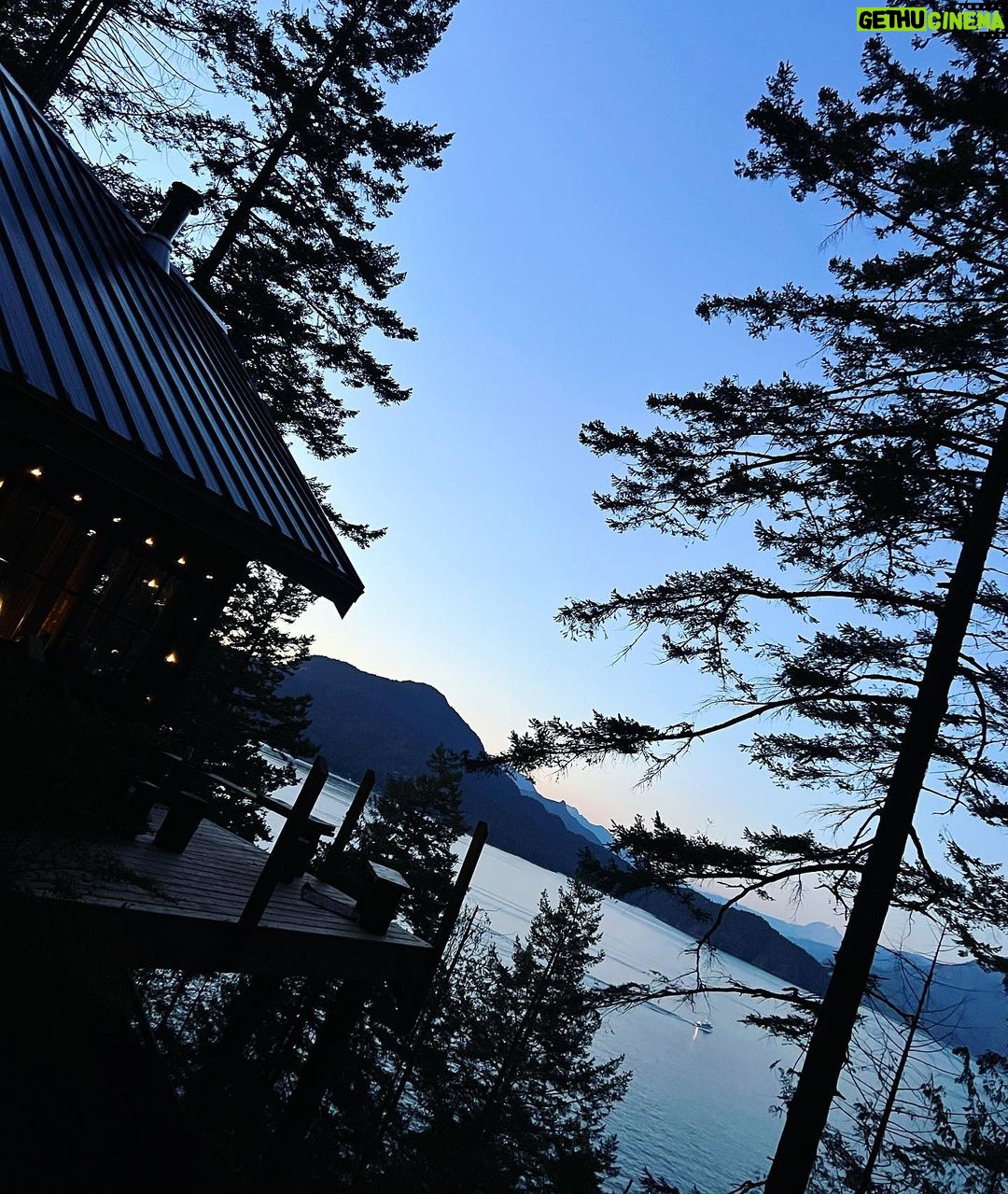 Eddie Liu Instagram - Indoor cat goes outdoors; has a really nice time. Swipe to the last slide to see how dangerous I am with an axe...and by that I mean a liability (my bad, Kendell @bootneck_45). British Columbia, Canada