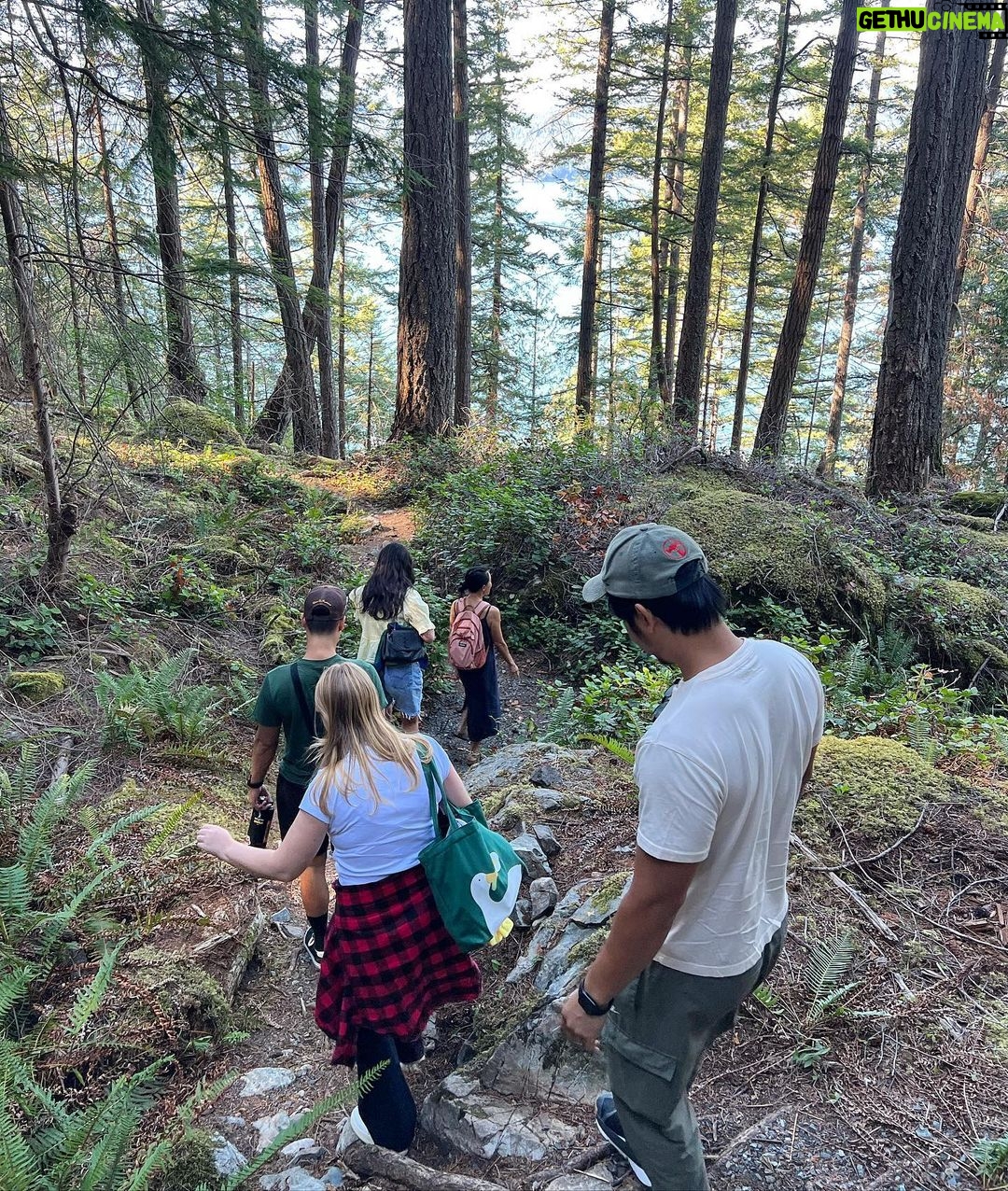 Eddie Liu Instagram - Indoor cat goes outdoors; has a really nice time. Swipe to the last slide to see how dangerous I am with an axe...and by that I mean a liability (my bad, Kendell @bootneck_45). British Columbia, Canada