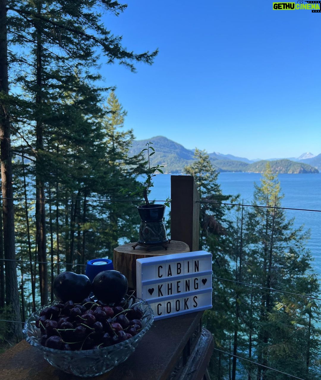 Eddie Liu Instagram - Indoor cat goes outdoors; has a really nice time. Swipe to the last slide to see how dangerous I am with an axe...and by that I mean a liability (my bad, Kendell @bootneck_45). British Columbia, Canada