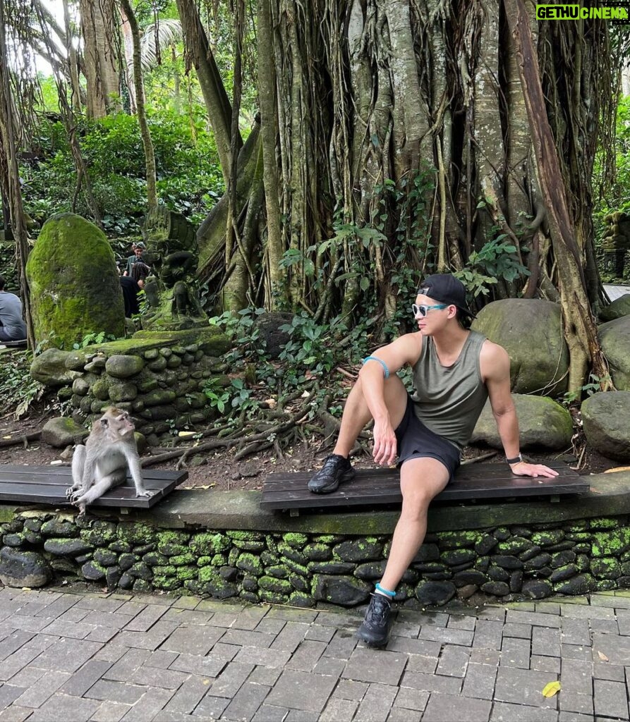 Eddie Liu Instagram - Indoor cat comes close to camping, goes outdoors. Bali, Indonesia