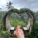 Eddie Liu Instagram - Indoor cat comes close to camping, goes outdoors. Bali, Indonesia