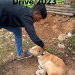 Elina Samantray Instagram - “RADIUM COLLAR BANDS DRIVE 2023”‼️ An initiative by Kalinga Yuva Sena Reflective collar bands for the abandoned voiceless stray souls..... This helps in avoiding accidents at late night and help both humans and Animals from a mishap‼️ Keep supporting!! . . . . . . . . . . . . . . . . #maa #reflective #collar #collar #gaumata #gauseva #accident #less #gaumatakijaiho #straylife #stray #bhubaneswarbuzz #animalrights #cattle #radium #radiumcollar #radiumcollarsforstrays #beltsforprotection #protection #protectwildlife #support #explorepage #explore #exploremore #kalingayuvasena #brightfuture #animallovers #explore #75hardchallenge #jaishreeram #jaimatarani Bhubaneswar, India