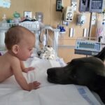 Elisabetta Fantone Instagram - You are the true definition of a miracle. I still can't believe how someone so small can be so incredibly strong. You beat all odds and fought for your right to life and your place in this world from the moment you were born and you did so with so much light and grace. I've never met anyone who fights like you do. You are an exemple of perseverance and hope. You put everything into perspective. You deserve the world my son. My eyes will always look at you with endless love and admiration. You are my hero little one. #Cody Tu es la véritable définition d’un miracle. Je n'arrive toujours pas à croire comment quelqu'un d'aussi petit puisse être si incroyablement fort. Tu as surmonté tous les obstacles et tu t'es battu pour ton droit à la vie et ta place dans ce monde dès ta naissance et tu l'as fait avec tant de lumière et de grâce. Je n'ai jamais rencontré quelqu'un qui se bat comme toi mon enfant. Tu es un exemple de persévérance et d'espoir. Tu mets tout en perspective. Tu mérites le monde mon fils. Mes yeux te regarderont toujours avec un amour et une admiration sans fin. Tu es mon héros, petit. #Cody #preemie #preemiepower #preemiestrong