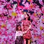 Elisabetta Fantone Instagram - Full bloom at @superblue.art in Miami. What an increase mesmerizing and inspiring exhibit! 🌺 . . . #art #flowers #floral #artinstallation #artshow #artexhibit #artists #miami #visitmiami #inspirational #whattodoinmiami #superbluemiami Miami, Florida