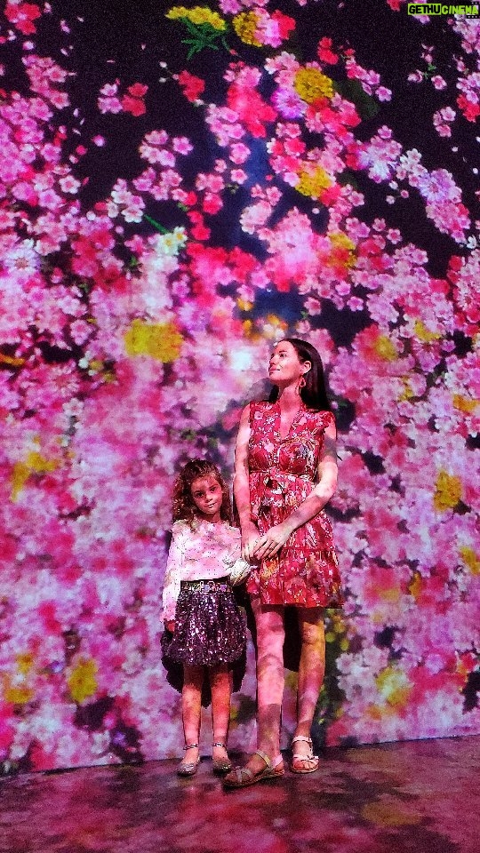 Elisabetta Fantone Instagram - Full bloom at @superblue.art in Miami. What an increase mesmerizing and inspiring exhibit! 🌺 . . . #art #flowers #floral #artinstallation #artshow #artexhibit #artists #miami #visitmiami #inspirational #whattodoinmiami #superbluemiami Miami, Florida