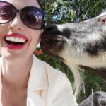 Elisabetta Fantone Instagram - When your co-star is a #goat and he's clearly into you. 🐐 #LaPetiteMairesse Sudbury, Ontario