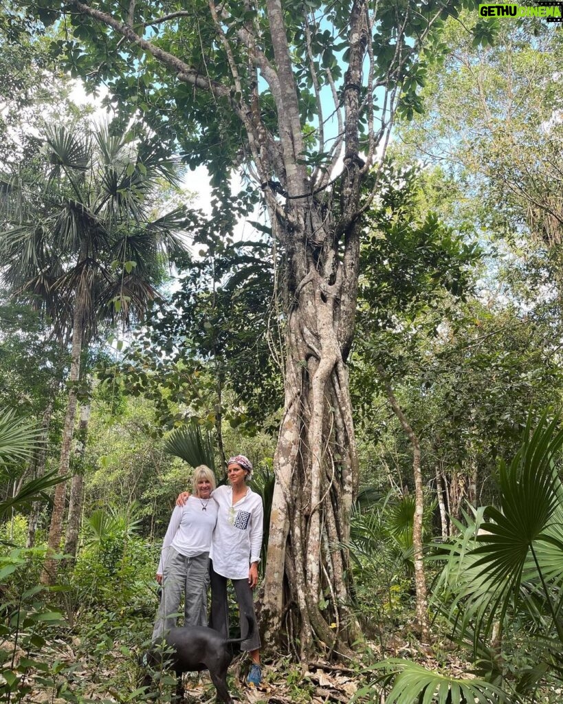 Eliza Coupe Instagram - You can take the kids outta New Hampshire but ya can’t take the— you get it. We always find our way back to nature. So grateful for this time with my mother and our mother 🌎🌿🤍 #pachamama #madre #madretierra #mother #earth #nature #mexico #jungle #breathe #wakeup #love #explore #live #and #a #few #farts Quintana Roo, Mexico