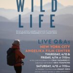 Elizabeth Chai Vasarhelyi Instagram - @jimmychin and I are so proud to share our latest film - WILD LIFE -, and Doug and Kris' story, with the world. Wild Life is a story of love, life long friendships, and Doug and Kris' incredible efforts to save the Chilean and Argintean wilds. It resulted in the biggest private land donation in history, creating or expanding 17 national parks over 25 years of conservation work. For years, I’ve wanted to make a film about a strong woman and there are few stronger and more determined than Kris. This is our shared story about protecting the environment, a woman accomplishing the impossible, and so much more. Kris and I will be at the Angelika this week, and if you're in NYC, please come watch this movie with us! It means the world to be able to share this with an audience.