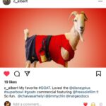 Elizabeth Chai Vasarhelyi Instagram - Well that was nuts. @freesolofilm appearing in @disneyplus superbowl Comercial - @alexhonnold if you think about it we could consider you a goat in many different ways quite poetic actually 🤣🤦🏻‍♀️ @jimmychin @c_albert @courteney_monroe and so many more ♥️♥️♥️