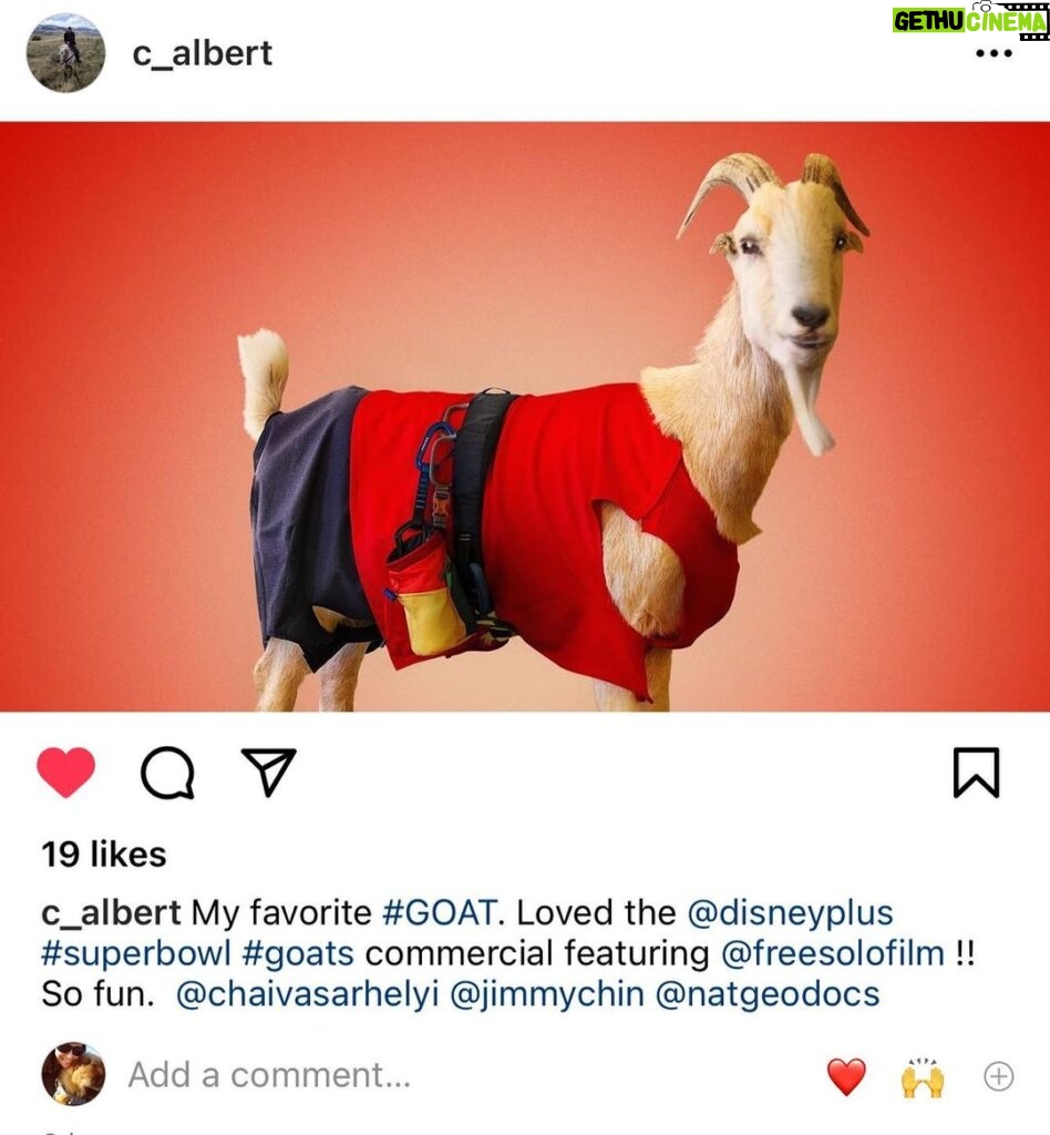 Elizabeth Chai Vasarhelyi Instagram - Well that was nuts. @freesolofilm appearing in @disneyplus superbowl Comercial - @alexhonnold if you think about it we could consider you a goat in many different ways quite poetic actually 🤣🤦🏻‍♀️ @jimmychin @c_albert @courteney_monroe and so many more ♥️♥️♥️