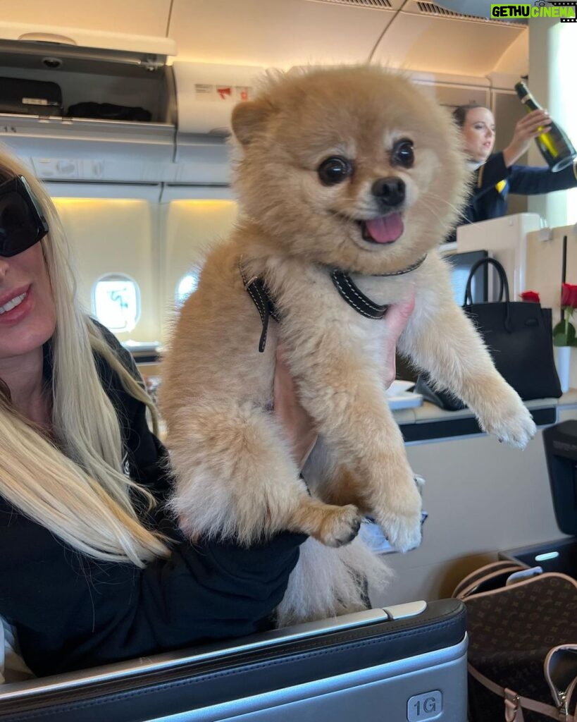Elizabeth Chai Vasarhelyi Instagram - @kyutani this one is for you. Roxy belongs to the oligarch princess seated next to me to Budapest…. #planepics
