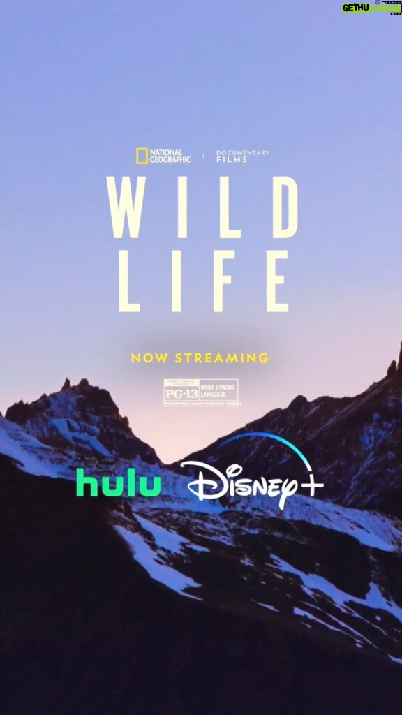 Elizabeth Chai Vasarhelyi Instagram - Wild Life is now streaming on @disneyplus and @hulu! Thank you to everyone who has helped bring @kristine_tompkins story to the world, thank you to our partners at @natgeodocs, @annacmbarnes, and thank you to my life and creative partner @jimmychin. Go stream it now!