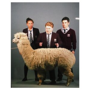 Ella-Rae Smith Instagram - Sneaky behind the scenes shot of a photoshoot we did for The Stranger with Alfie the llama... sorry I mean ALPACA 🙄😂🦙