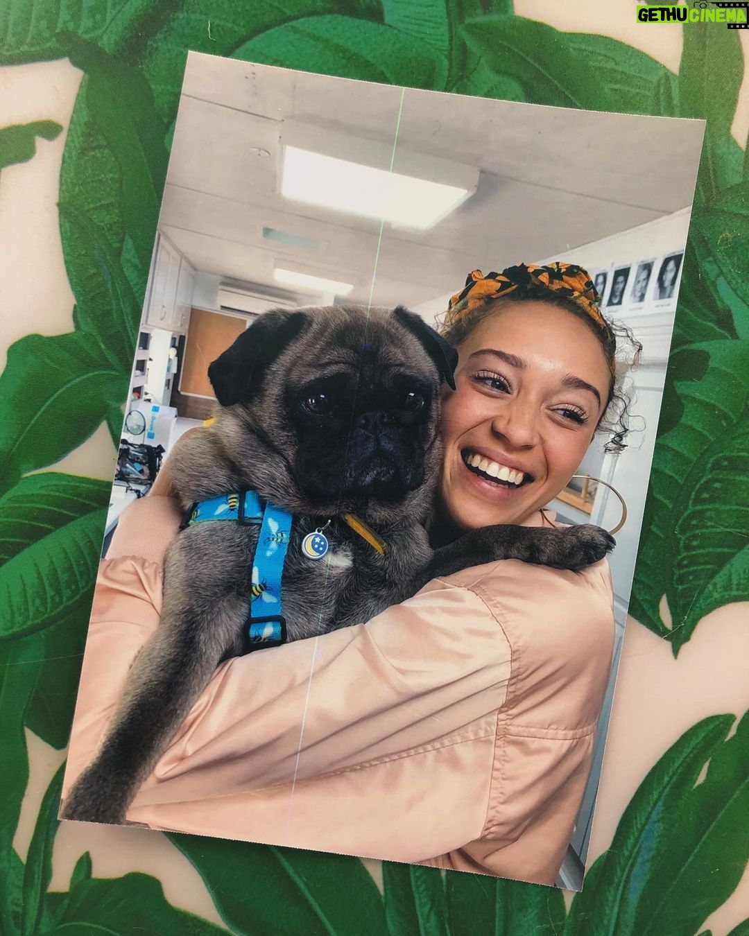 Ella-Rae Smith Instagram – the one and only michael puglas 💘 Manchester ...