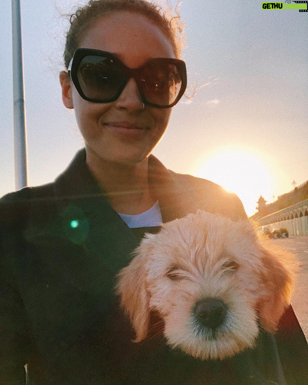 Ella-Rae Smith Instagram - probably my favourite photo i have ever taken 🌝 happy 1st birthday to my four legged child, the happiest little ball of fluff & fun. 🐕