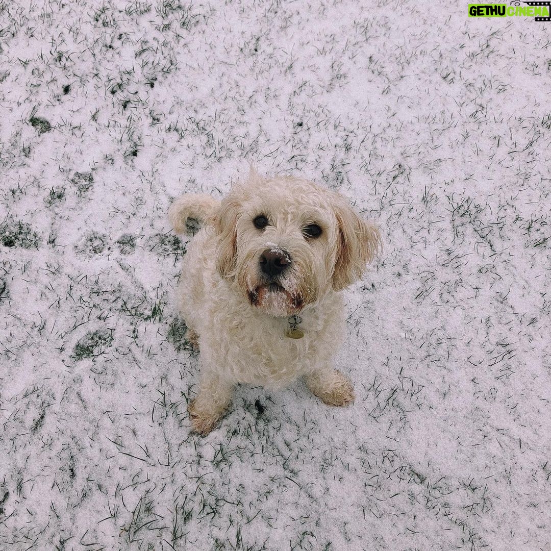 Ella-Rae Smith Instagram - *pippin singing* do you wanna build a snowman? 🥺☃️ London, United Kingdom